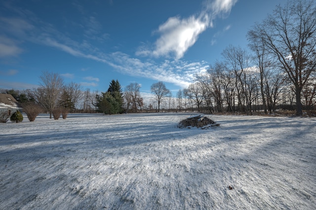 view of yard layered in snow