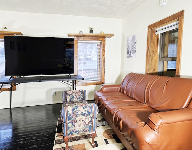 living room featuring hardwood / wood-style flooring and a textured ceiling