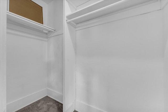 16148 Roselawn St, Detroit, MI 48221 - walk in closet with carpet flooring