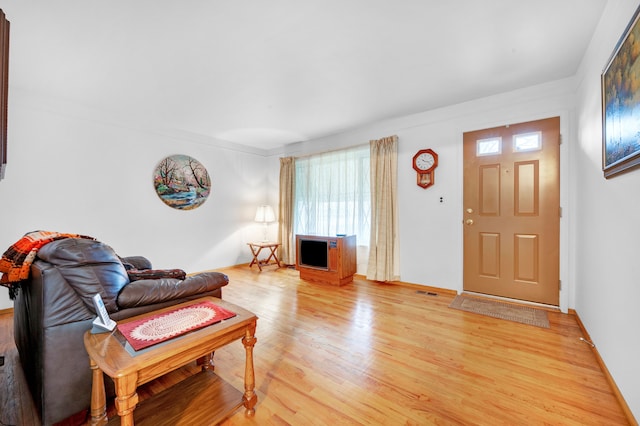 living room featuring light wood-type flooring