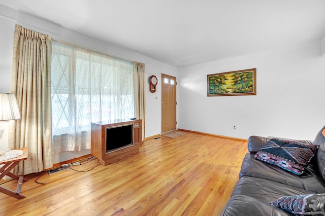 living room featuring hardwood / wood-style flooring