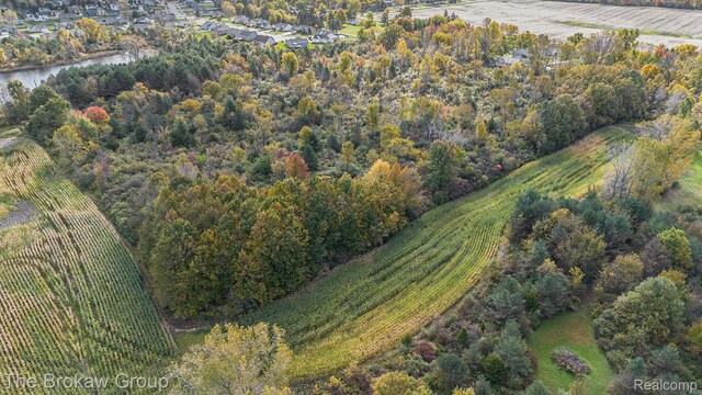 000 Lippincott Blvd, Davison, MI 48423 - photo 4