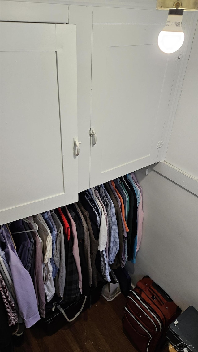 spacious closet with dark wood-type flooring