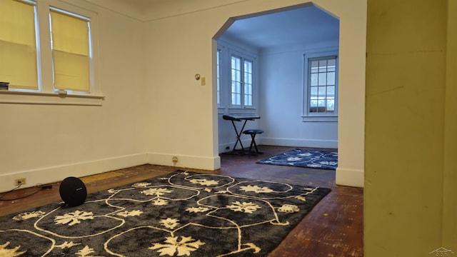 entrance foyer with dark wood-type flooring