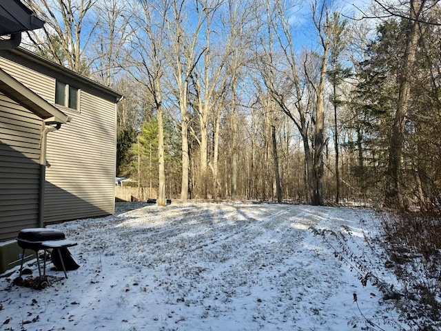 view of snowy yard