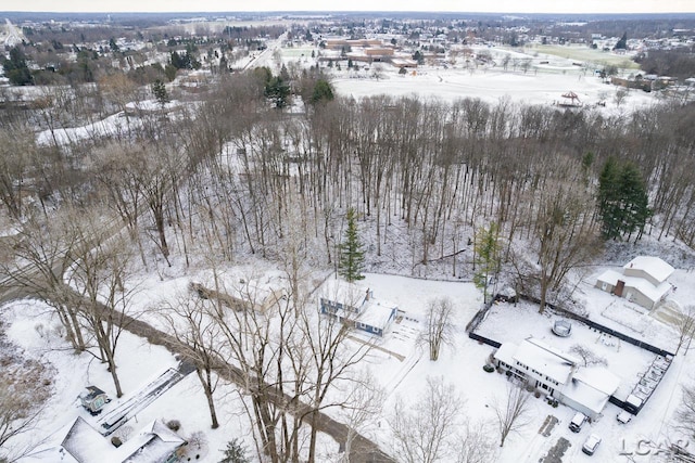 view of snowy aerial view