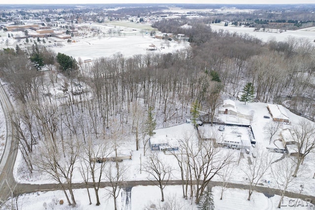 view of snowy aerial view