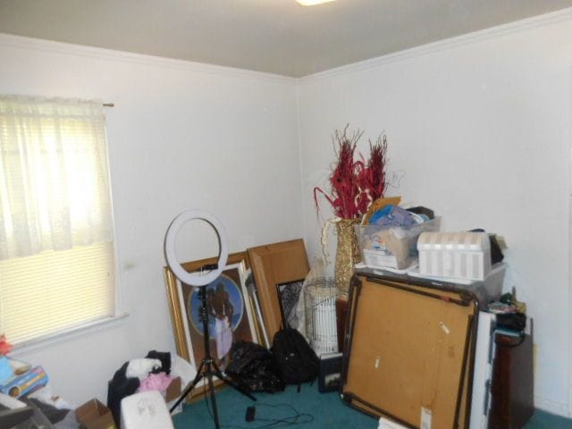 interior space with carpet and crown molding