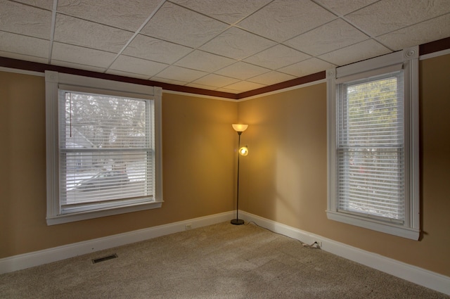 unfurnished room with a drop ceiling, carpet floors, and ornamental molding