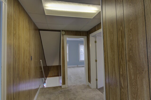 hall featuring a paneled ceiling, light colored carpet, and wooden walls