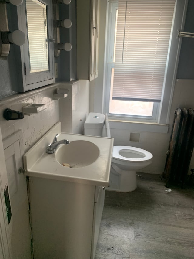 bathroom with vanity, toilet, and radiator