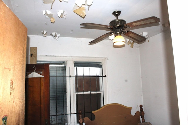 room details with ceiling fan