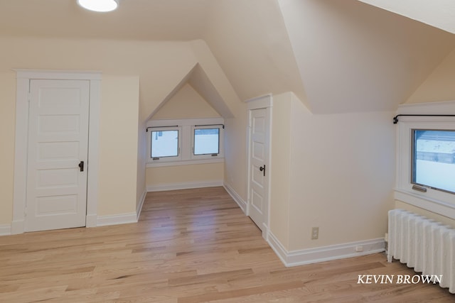 additional living space featuring a healthy amount of sunlight, radiator, and light wood-style flooring