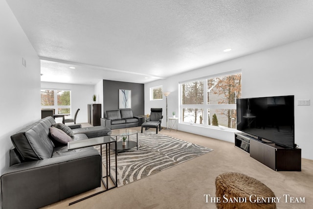 carpeted living room featuring a textured ceiling