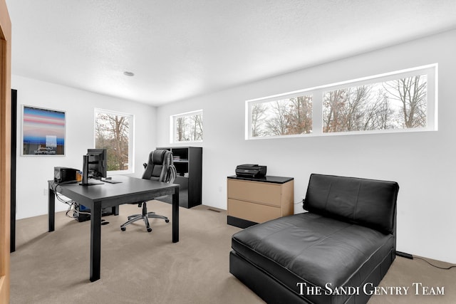 office featuring a textured ceiling and light colored carpet