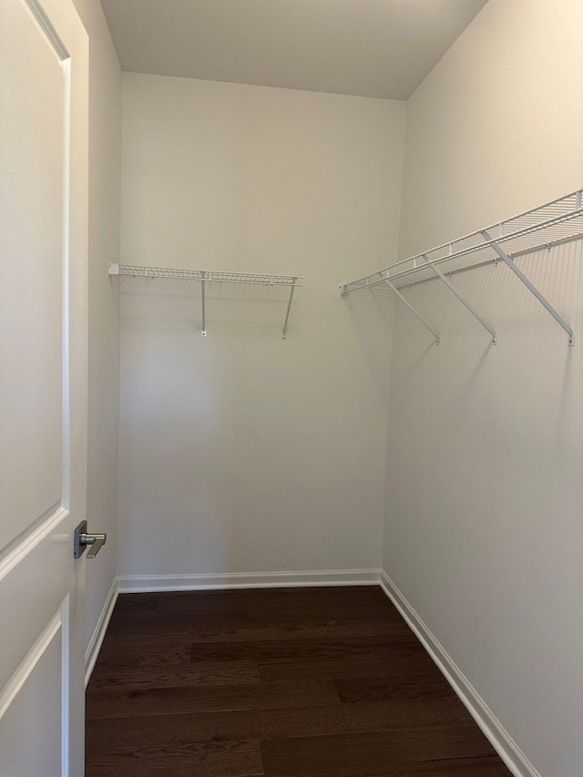 walk in closet with dark hardwood / wood-style floors