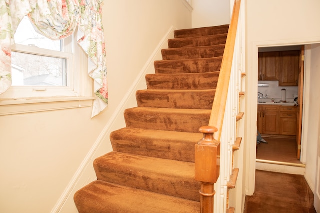 stairway featuring carpet floors