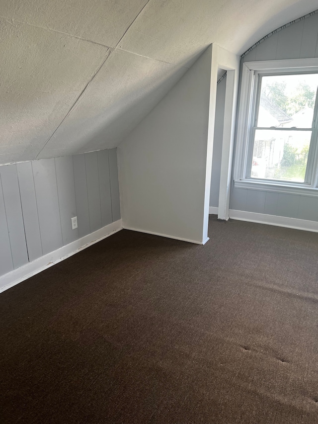 additional living space with dark colored carpet, a textured ceiling, and lofted ceiling