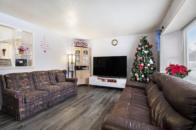 living room featuring dark hardwood / wood-style floors