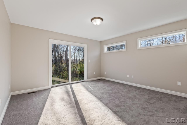 unfurnished room with carpet flooring