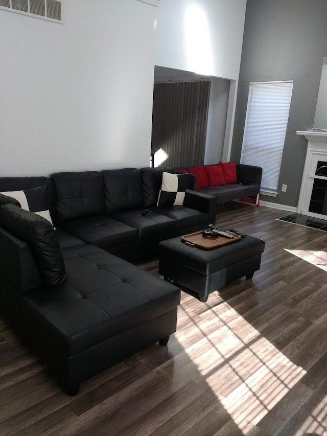 living room featuring wood-type flooring