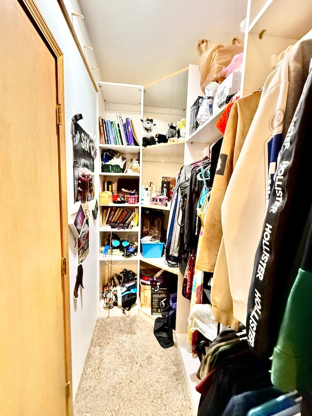 view of walk in closet