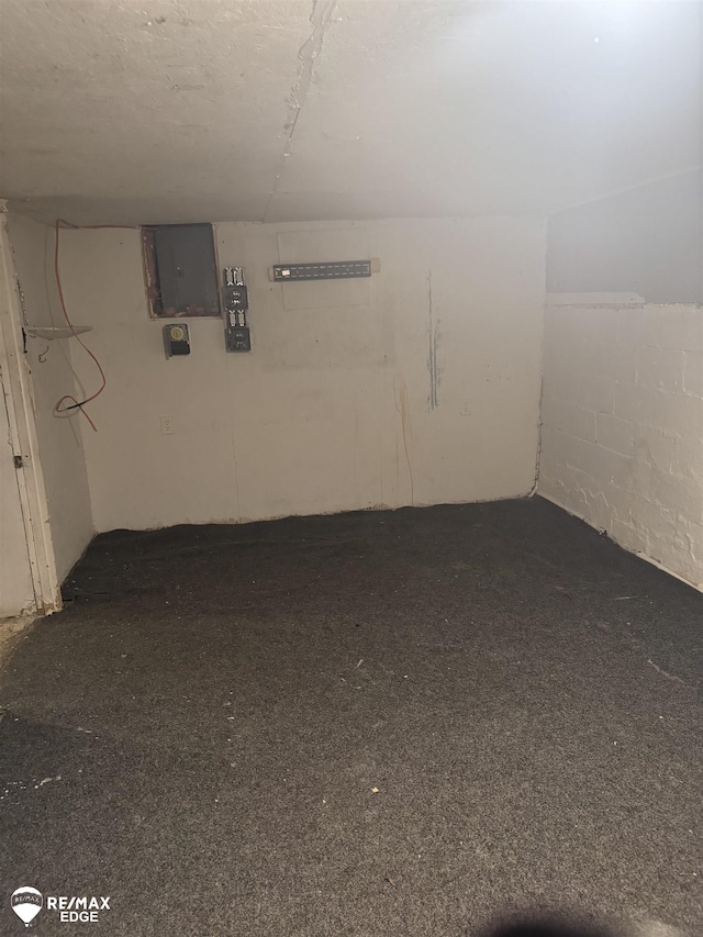 basement with electric panel