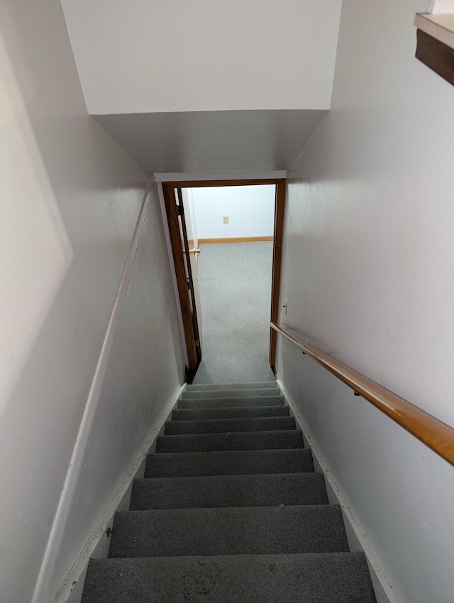 staircase with carpet floors