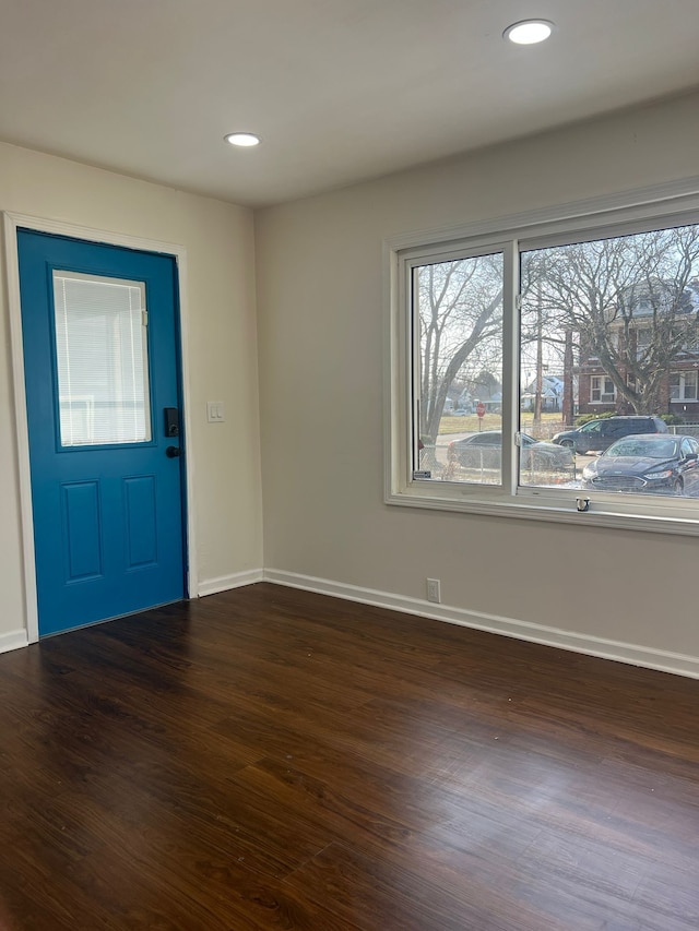 entrance foyer featuring dark wood-type flooring