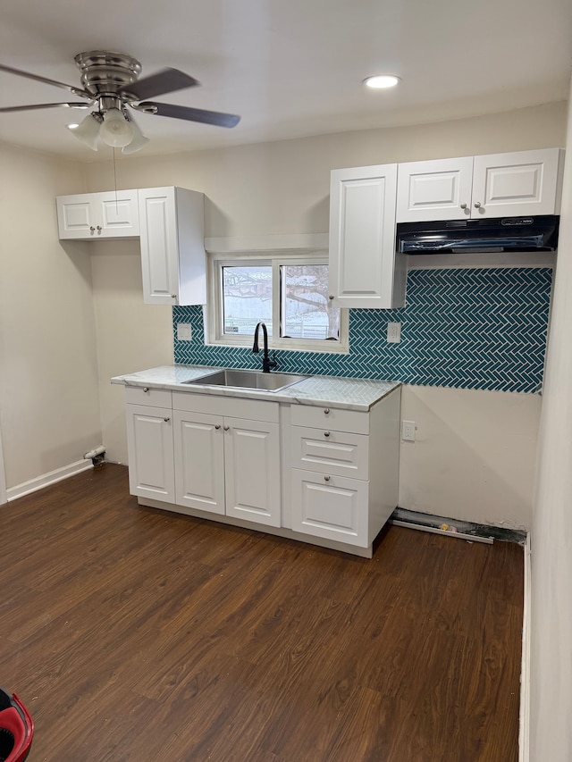 kitchen with white cabinetry, dark hardwood / wood-style flooring, decorative backsplash, and sink