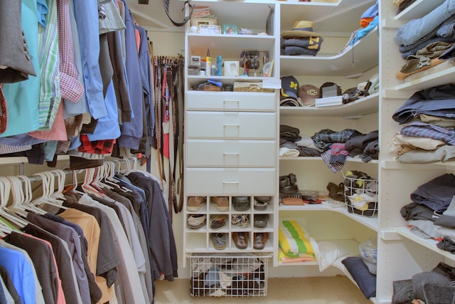 spacious closet featuring carpet flooring