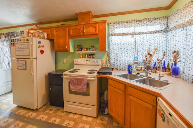 kitchen with crown molding, sink, light hardwood / wood-style floors, and white appliances