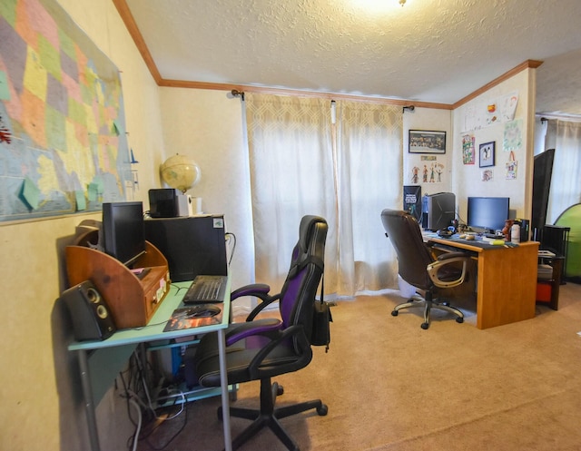 office space with carpet flooring, crown molding, and a textured ceiling