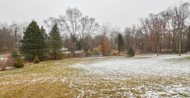 view of yard covered in snow