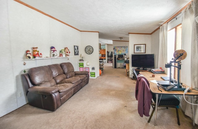 living room featuring crown molding, light colored carpet, and a textured ceiling