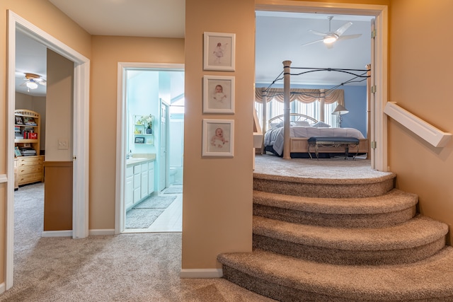 stairs with carpet floors, ceiling fan, and sink