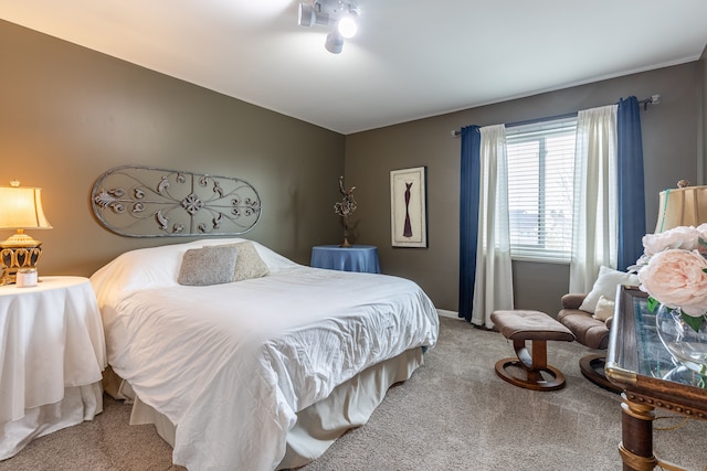 view of carpeted bedroom