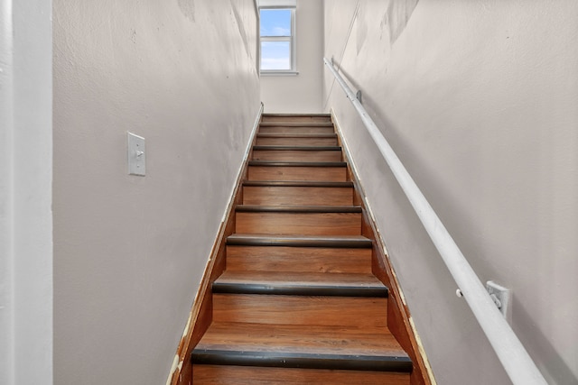 stairway with hardwood / wood-style floors