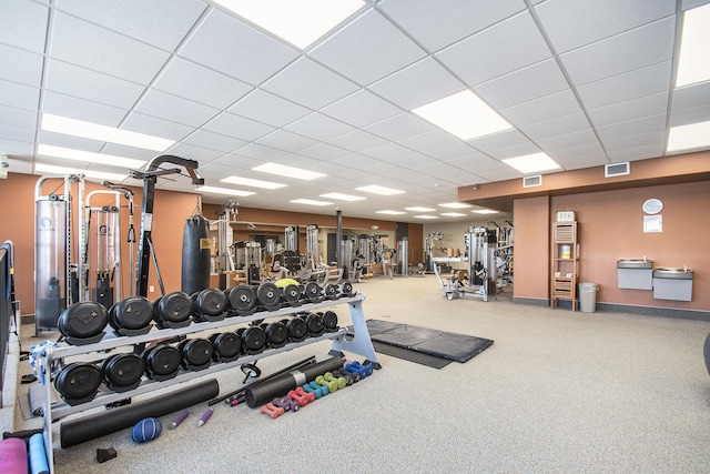 workout area with a drop ceiling and carpet floors