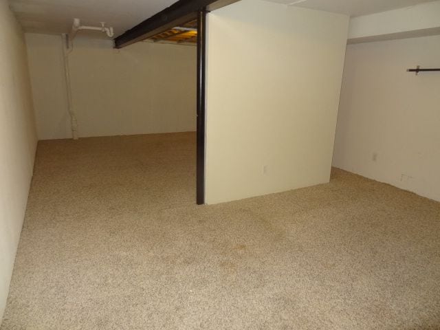 basement featuring light carpet