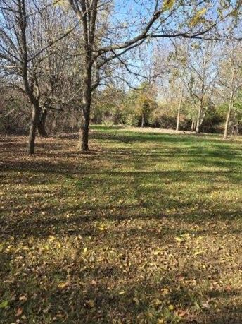 121 Davis Lake Rd, Lapeer, MI 48446 - photo 51