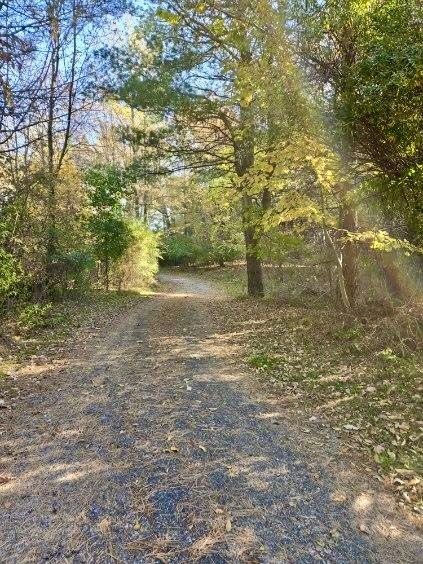 121 Davis Lake Rd, Lapeer, MI 48446 - photo 59