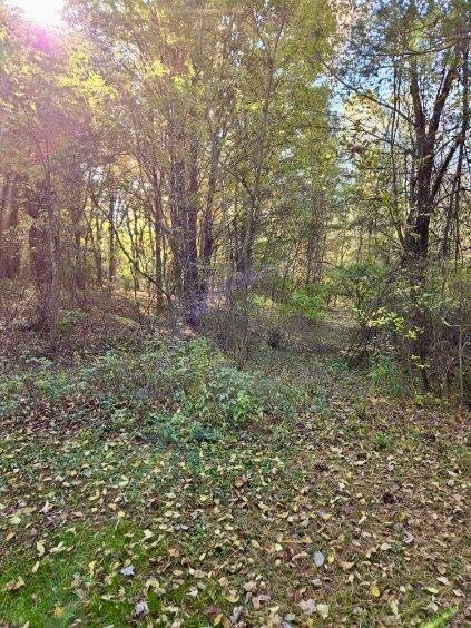 121 Davis Lake Rd, Lapeer, MI 48446 - photo 57