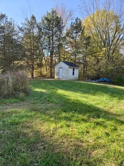 view of yard with a shed