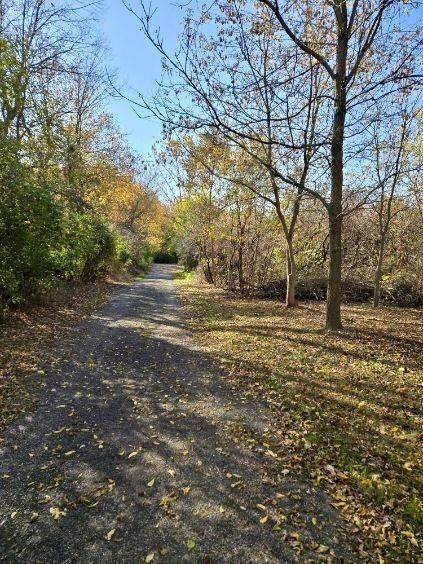 121 Davis Lake Rd, Lapeer, MI 48446 - photo 52