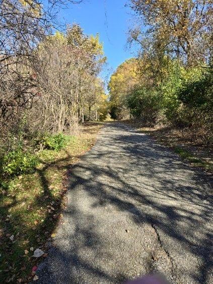 121 Davis Lake Rd, Lapeer, MI 48446 - photo 50