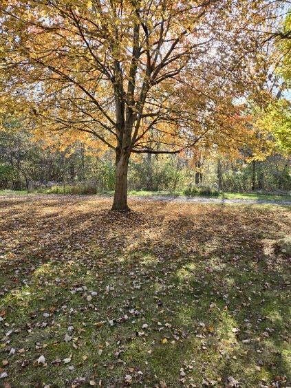 121 Davis Lake Rd, Lapeer, MI 48446 - photo 53