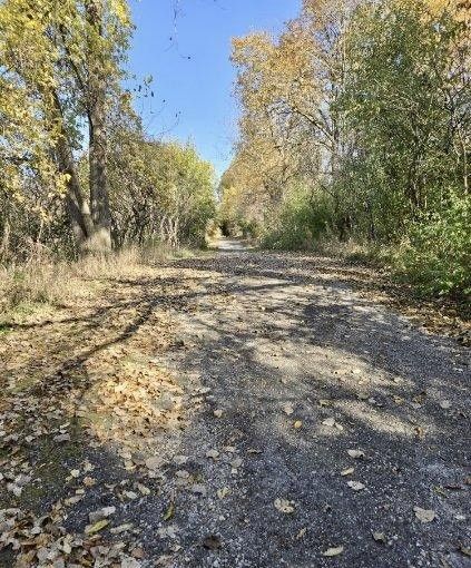 view of road