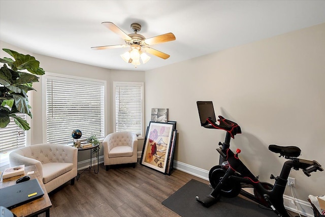 workout area featuring ceiling fan and dark hardwood / wood-style flooring