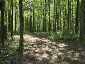 3371 Noble Rd, Oxford, MI 48370 - photo 65